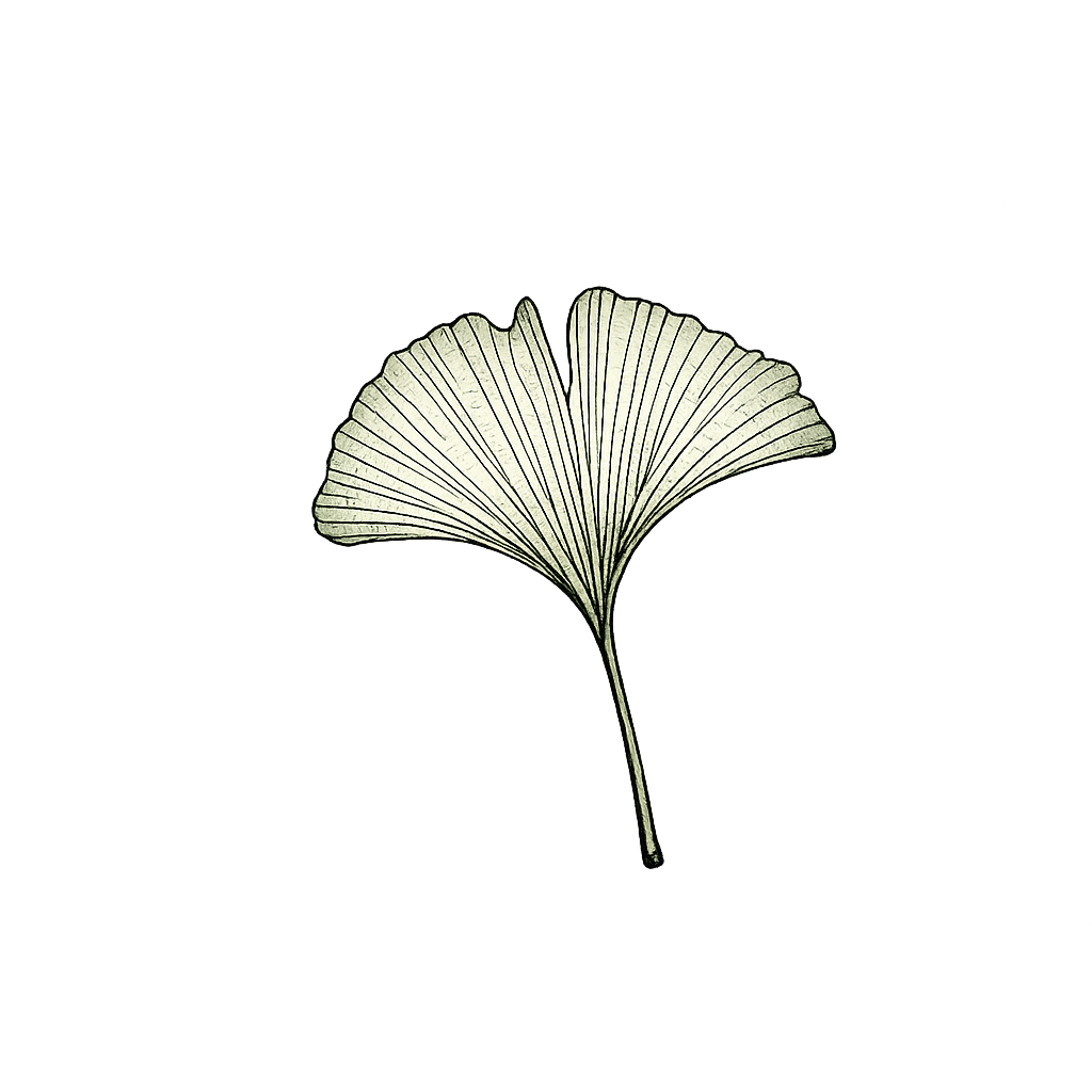 Feuille de ginkgo